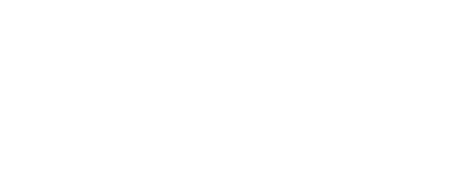 Burning Man Project